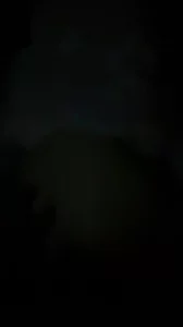 小狗